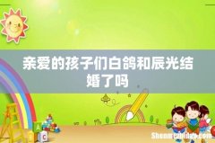 亲爱的孩子们白鸽和辰光结婚了吗