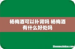 杨梅酒可以补肾吗 杨梅酒有什么好处吗
