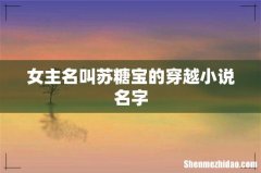 女主名叫苏糖宝的穿越小说名字