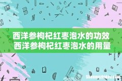 西洋参枸杞红枣泡水的功效 西洋参枸杞红枣泡水的用量