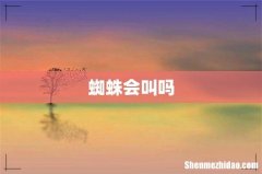 蜘蛛会叫吗