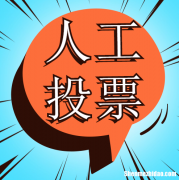 兔子人工投票价格多少钱一票