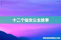 十二个仙女公主故事