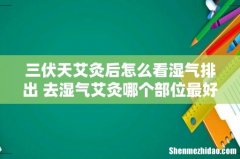三伏天艾灸后怎么看湿气排出 去湿气艾灸哪个部位最好
