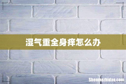 湿气重全身痒怎么办