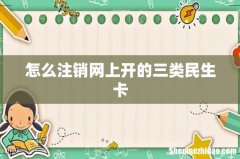 怎么注销网上开的三类民生卡