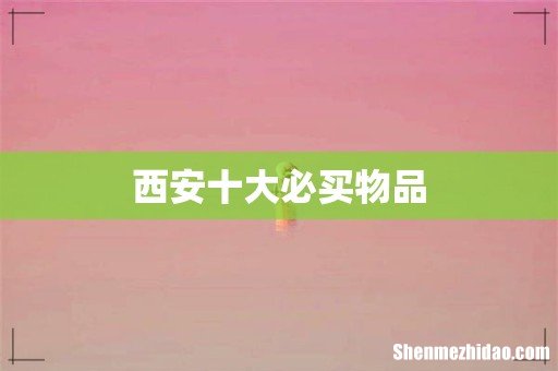 西安十大必买物品