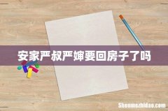 安家严叔严婶要回房子了吗