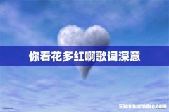 你看花多红啊歌词深意