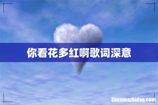你看花多红啊歌词深意