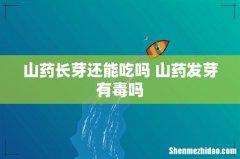 山药长芽还能吃吗 山药发芽有毒吗