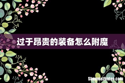 过于昂贵的装备怎么附魔