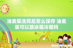 油麦菜洗完后怎么保存 油麦菜可以放冰箱冷藏吗