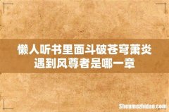 懒人听书里面斗破苍穹萧炎遇到风尊者是哪一章