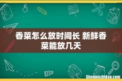 香菜怎么放时间长 新鲜香菜能放几天