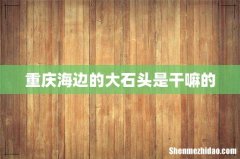 重庆海边的大石头是干嘛的