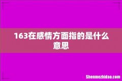 163在感情方面指的是什么意思