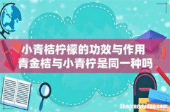 小青桔柠檬的功效与作用 青金桔与小青柠是同一种吗