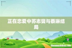 正在恋爱中苏志燮与蔡琳结局