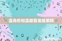 温兆伦和温碧霞是姐弟吗
