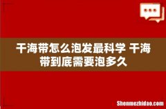 干海带怎么泡发最科学 干海带到底需要泡多久