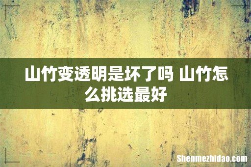 山竹变透明是坏了吗 山竹怎么挑选最好