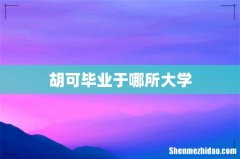 胡可毕业于哪所大学