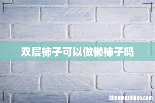 双层柿子可以做懒柿子吗