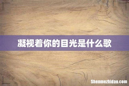 凝视着你的目光是什么歌