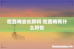 吃西梅会长胖吗 吃西梅有什么好处