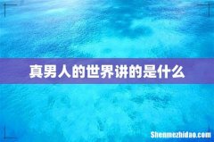 真男人的世界讲的是什么