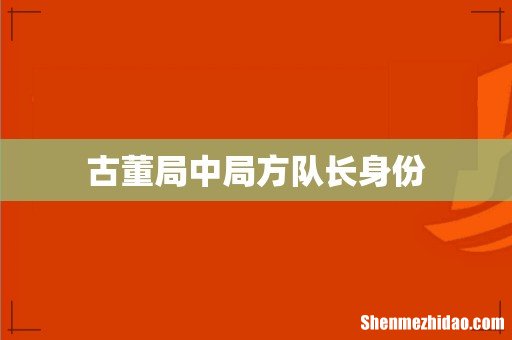 古董局中局方队长身份