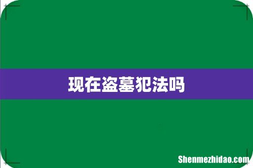 现在盗墓犯法吗