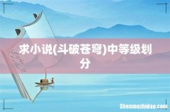 斗破苍穹 求小说中等级划分