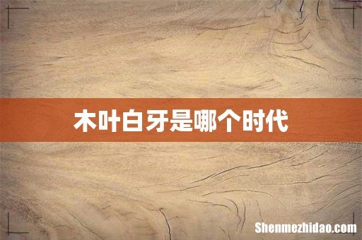 木叶白牙是哪个时代