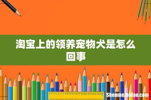淘宝上的领养宠物犬是怎么回事