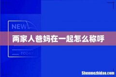两家人爸妈在一起怎么称呼
