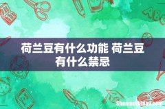 荷兰豆有什么功能 荷兰豆有什么禁忌