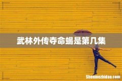 武林外传夺命蝎是第几集