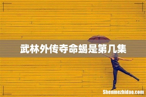 武林外传夺命蝎是第几集