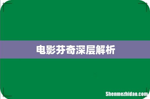 电影芬奇深层解析