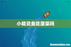 小精灵鱼吃菠菜吗