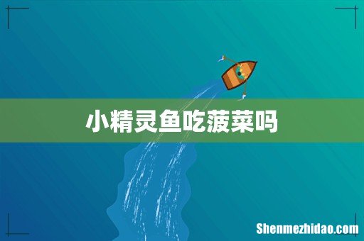 小精灵鱼吃菠菜吗