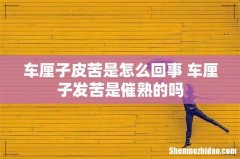 车厘子皮苦是怎么回事 车厘子发苦是催熟的吗