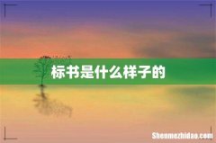 标书是什么样子的