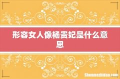 形容女人像杨贵妃是什么意思