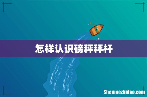怎样认识磅秤秤杆