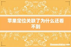 苹果定位关联了为什么还看不到
