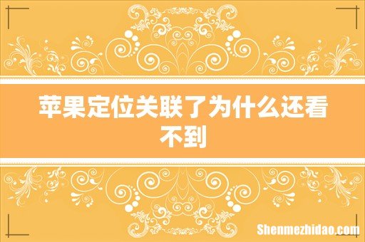 苹果定位关联了为什么还看不到