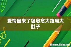 爱情回来了包念念大结局大肚子